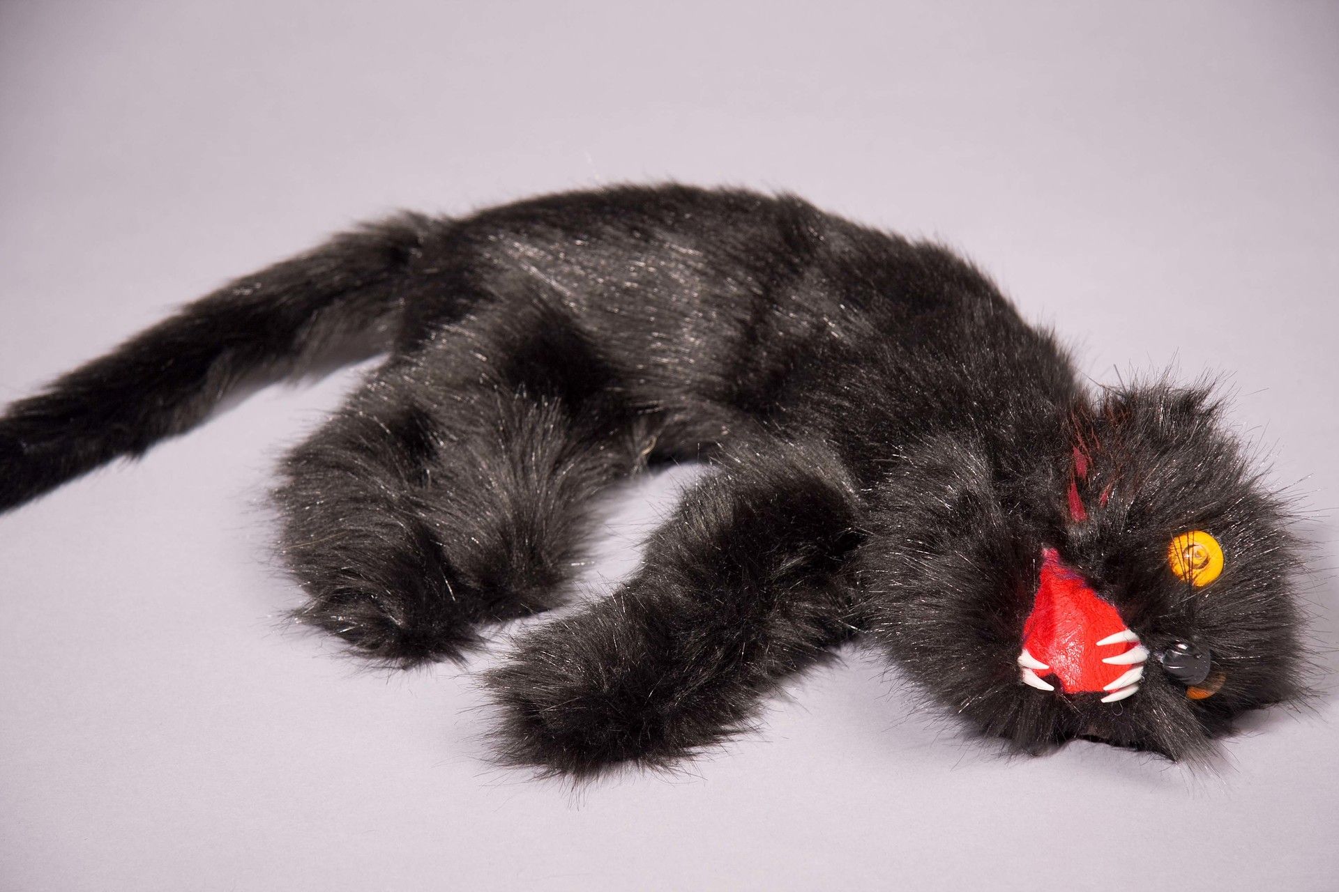 Tote Schwarze Katze