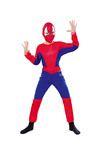 Spinnenheld: Overall und Maske