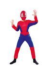 Spinnenheld: Overall und Maske