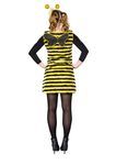 Bienenkleid mit Flügeln und Fühlern
