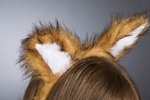 Fuchs-Set, Ohren und Schweif