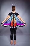 Schmetterling-Cape