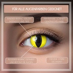 ein Paar Kontaktlinsen Glowing Wildcat