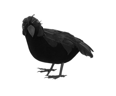 Krähe schwarz, ca. 23 cm hoch