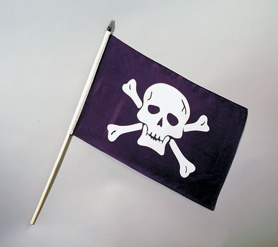 Fahne Flagge der Piraten weißer Totenkopf auf schwarz mit Stab