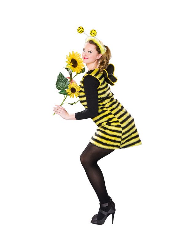 Bienenkleid mit Flügeln und Fühlern