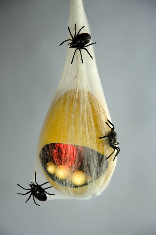 Spinnennnest, ca. 42 cm, mit Eiern/Spinnen