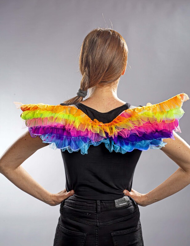 Regenbogenflügel, ca. 55x22 cm