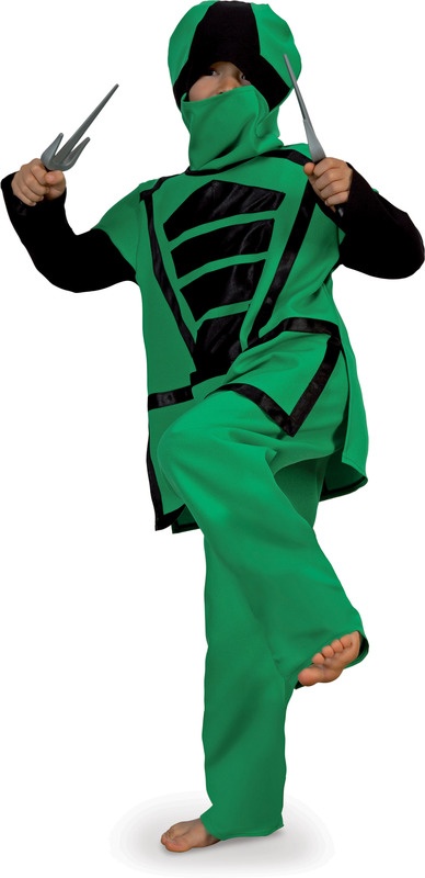 Grüner Ninja Takashi