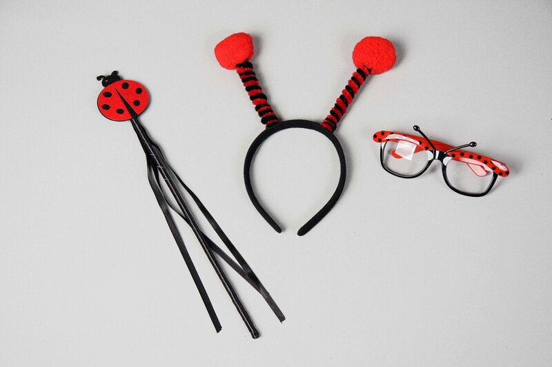 Marienkäfer-Set: Brille, Fühler, Stab