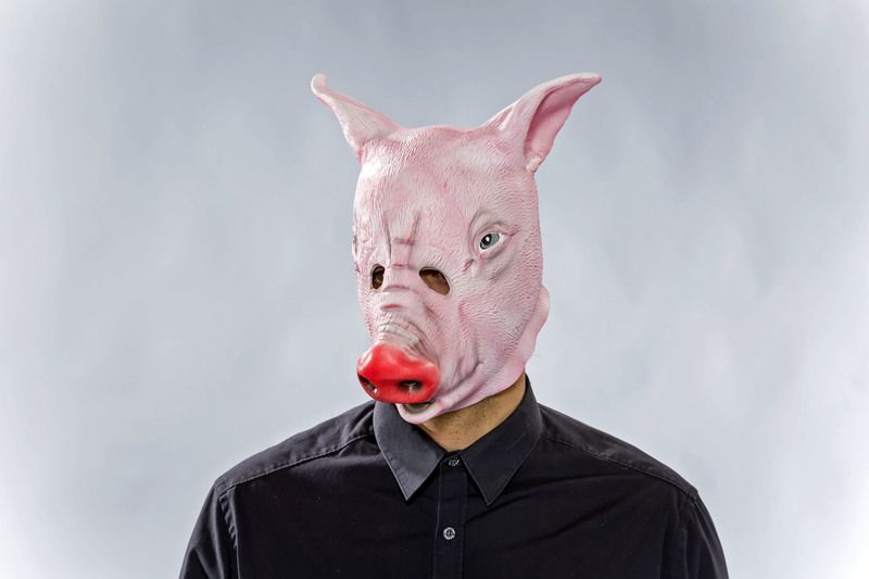 Erw.-Latexmaske Schwein