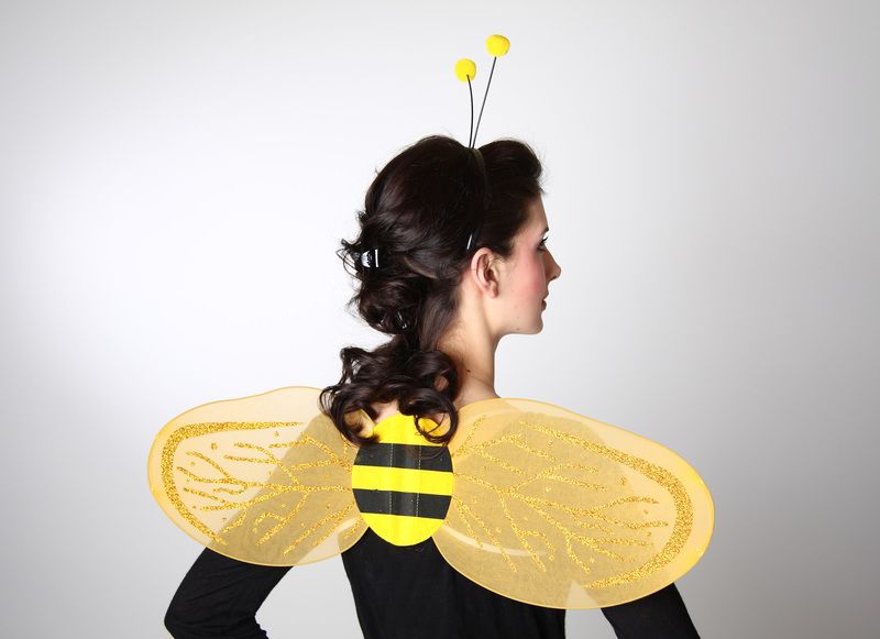 Set: Bienenflügel und Fühler